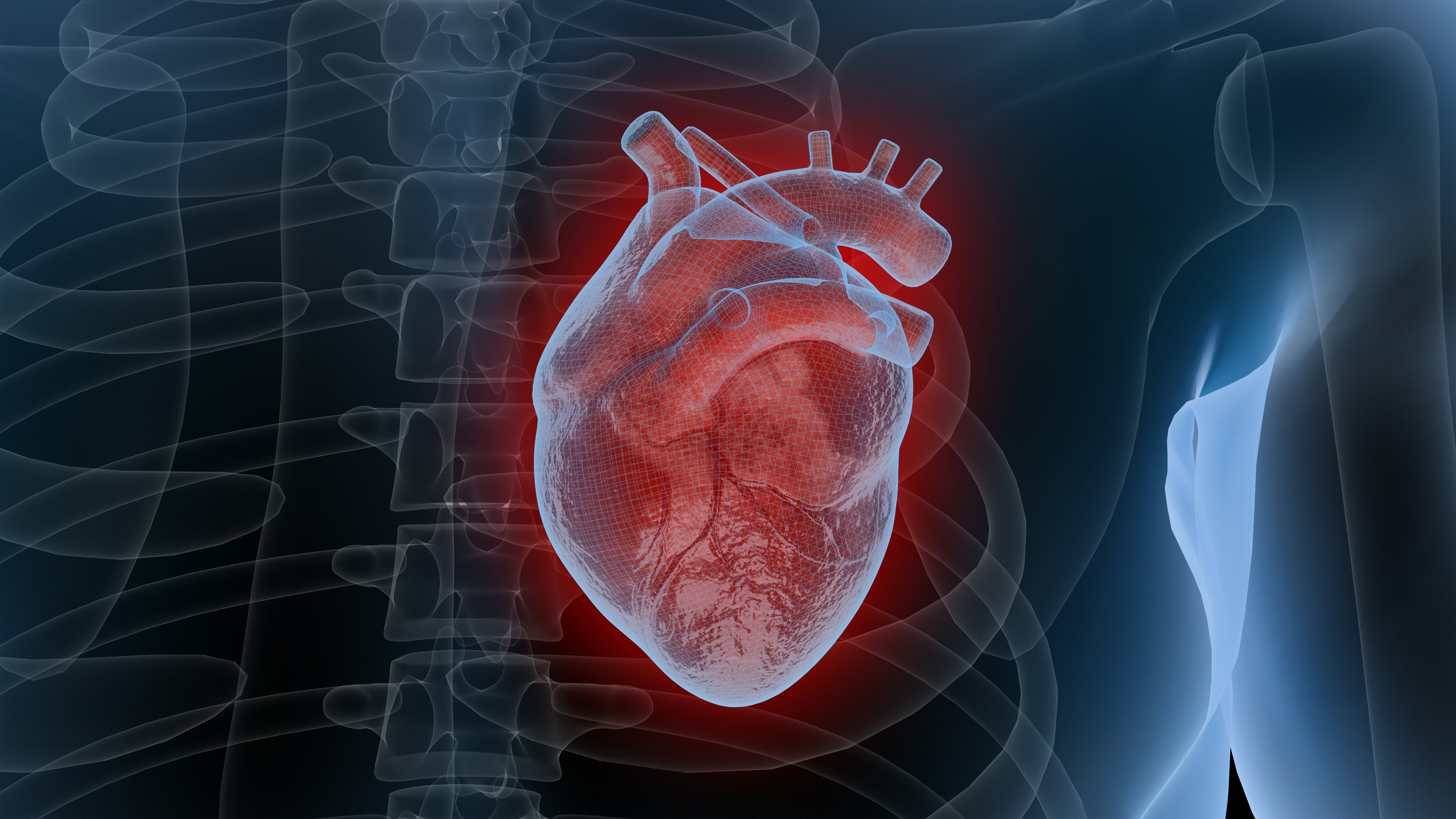 heart seven and biomedicine